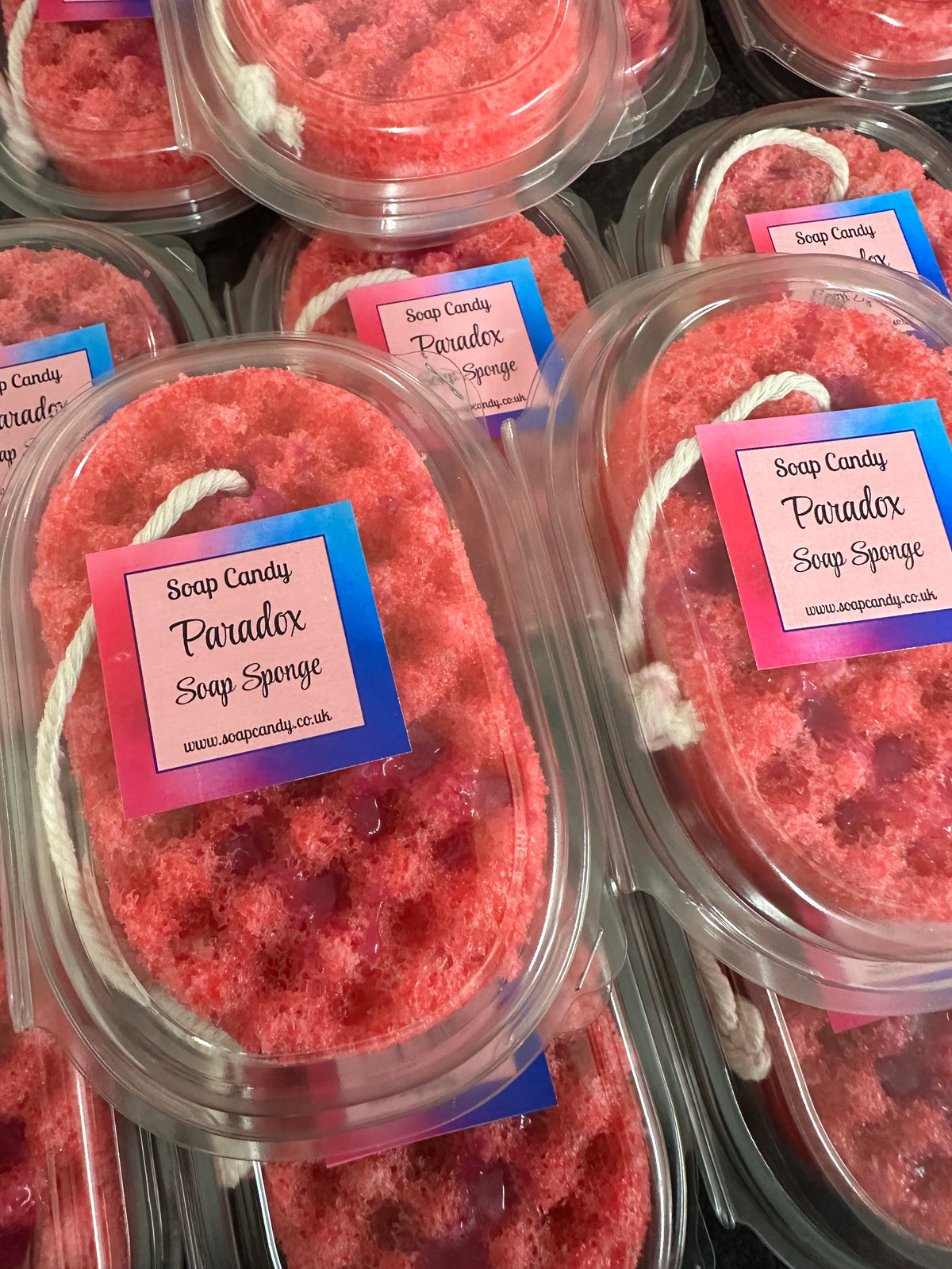 Paradox Soap Sponge