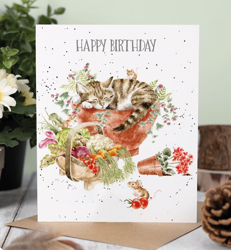 Purrrfect Birthday Card