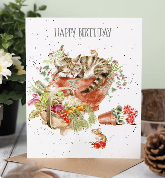 Purrrfect Birthday Card