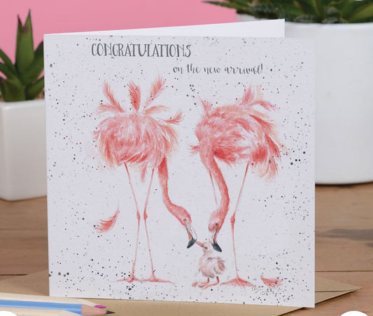 New Arrival Card