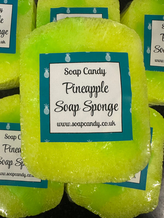 Pineapple Soap Sponge (small)