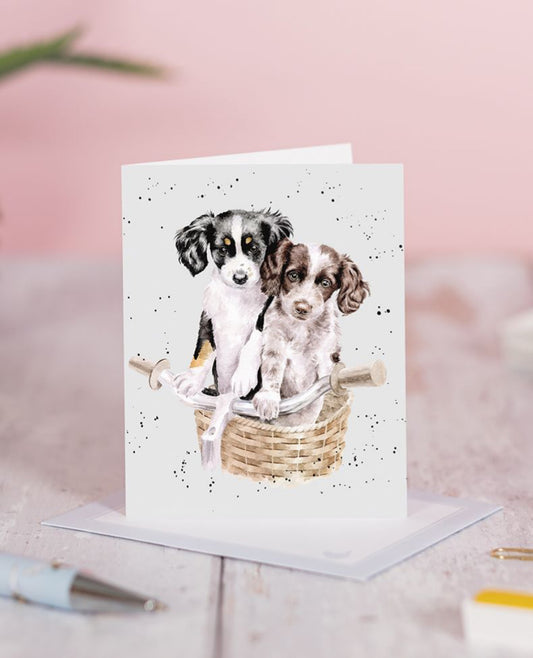 Pedal & Paws Mini Card