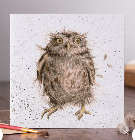 What the Hoot Card