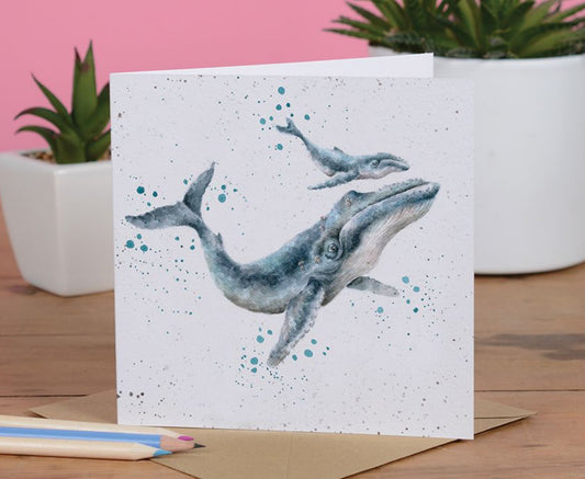 Marine Blue Card